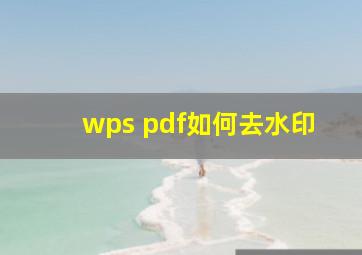 wps pdf如何去水印